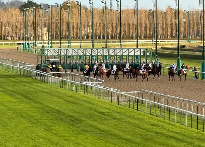 Rosebud Deauville